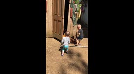 Chickens scare the crap out of little boy
