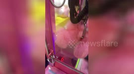 Claw machine giveth and taketh away in epic fail