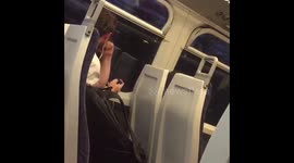 Football fan quietly celebrates England victory on train