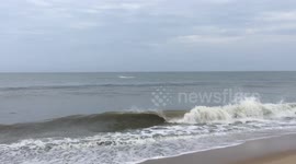 School of Dolphins in Dewey Beach Delaware