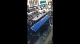 England fan jumps across busses after win