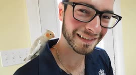 Cockatiel Phoebe Found World Cup Promise Made for England to Win