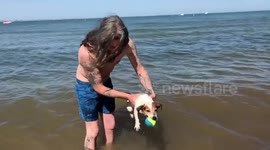 Dog air swimming at the seaside!