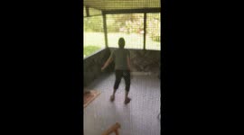 Grandmas back porch boogie!