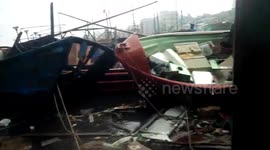 Trees bend in Typhoon Maria winds in southeastern China's Fujian