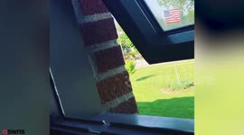 Schoolgirl has the internet in stitches after photographing her malformed hand ‘Fred’ in a range of funny scenarios