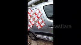 Woman pranks partner covering van in flags