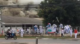 Workers run for their lives as huge fire rips through Thailand chicken factory
