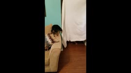 What the fluff challenge