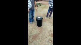 Mozambique Spitting Cobra catch