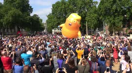 'Trump baby' balloon takes flight as protests kick off in London