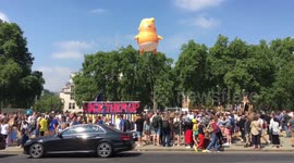 The Trump Baby in Westminster
