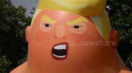 Trump Baby Balloon Takes Flight In Parliament Square