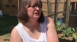 Woman's noisy pet chicken has ruffled people's feathers