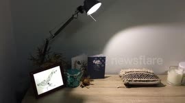 YouTuber makes backlit picture frame from discarded flat screen television