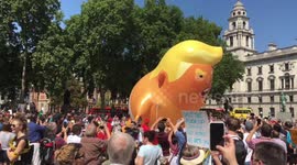 Trump Baby Deflates In Westminster Long Version