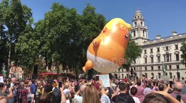 Trump Baby Deflates In Westminster Short Version