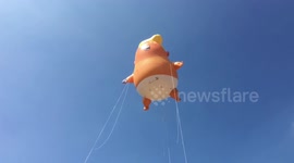 Orange Baby Trump