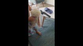 Dad throws toy at window