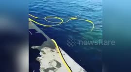 Newsflare Edit - Yacht salvage holyhead marina March 2018