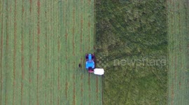 One Tractor and his Dog (Crazy Sheep Dog)