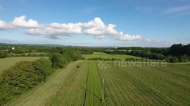 Tractor Mowing by Air - DJI Phantom 4