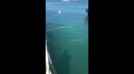 Raising small yacht from seabed at holyhead marina
