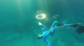 Spinning around: Watch a jellyfish latch onto a bubble ring blown by a diver