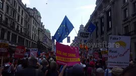 View from the street during Trump protest in London