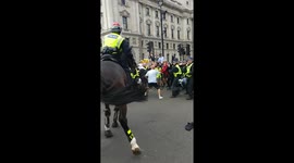 Police on horseback step in as activists wield sticks at Tommy Robinson demo