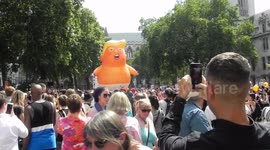 Trump Blimp being taken round Westminster Square looking almost like he is about to start munching the crowd the trump babysitters team are taking care of him by jim connor