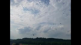 Flite Fest East 2018