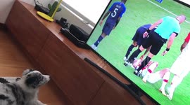Matilda soccer fan!