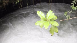 WATER OF RIVER
