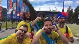 A fan's view of Russia's exhilarating World Cup