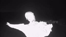 Barn owls vs tawny owl - amazing fight