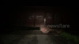Cargo train passing in the middle of the night