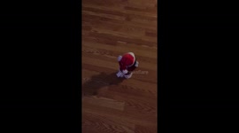 Dog hates snoopy
