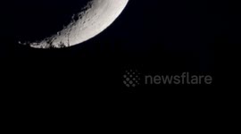 Crescent Moon setting behind trees