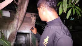 King Cobra caught after swallowing three duck eggs