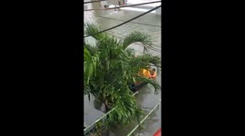 Rescue boat