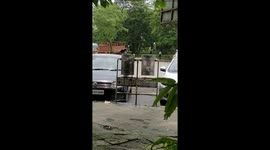 Crow segregates plastic waste from the wet waste bin