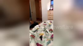 This cat was not impressed at being told to 'shut up'