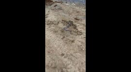 Sneak return attack