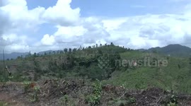 the process of making gambier