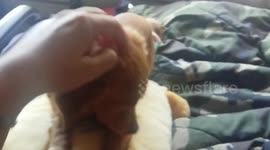Nibbles wants PoohBear away from Jonny