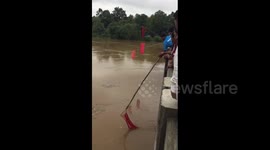 Residents in southern India rush to fish coconuts in flooded river