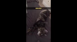 Just chilling, but a bit too much.