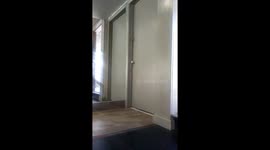 Handstand Practice