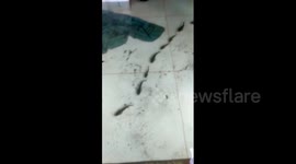 Indians go fishing at home after monsoon floods draw schools of catfish